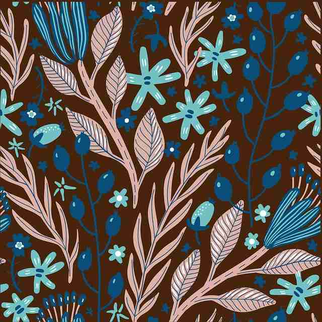 P站新手指南·粉丝经济红与黑