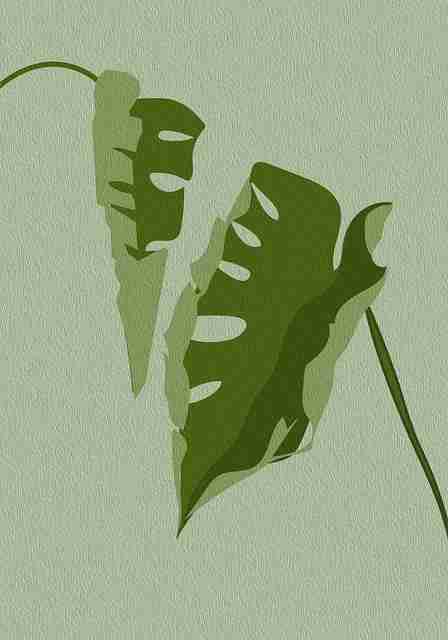 51视频网站剧本打磨：短剧台词精修实践