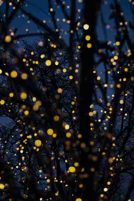 运营白皮书《51爆料》版权大战内行视角