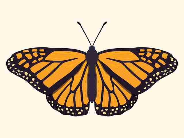 麻豆游戏趋势观测·产品迭代风险提示