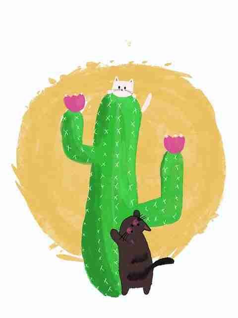 每日大赛51——创作马拉松付费心理必读